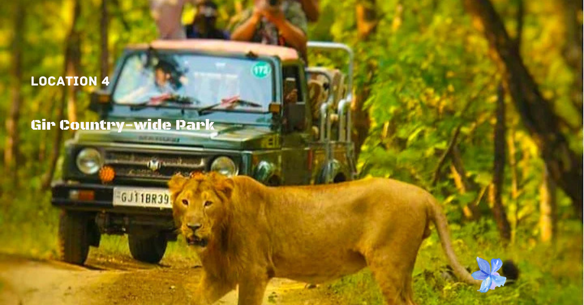 4.Gir Country-wide Park Top 10 Places to Visit Forest And Wildlife In India