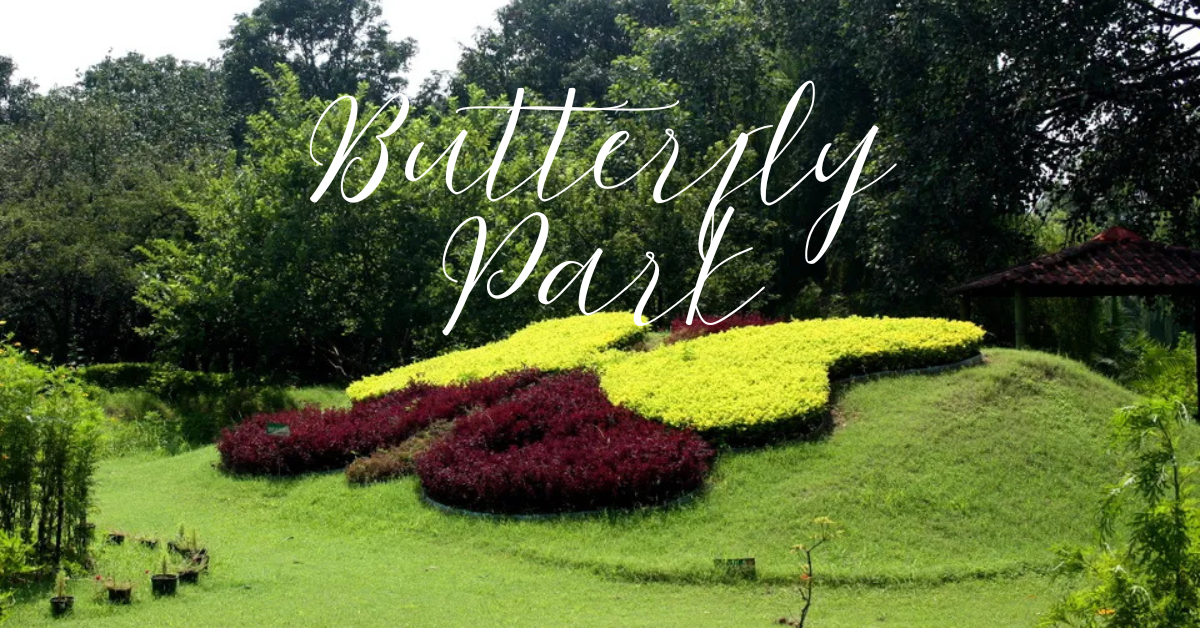 6. Butterfly Park Explore Top 5 Best tourist places to visit near Chandigarh