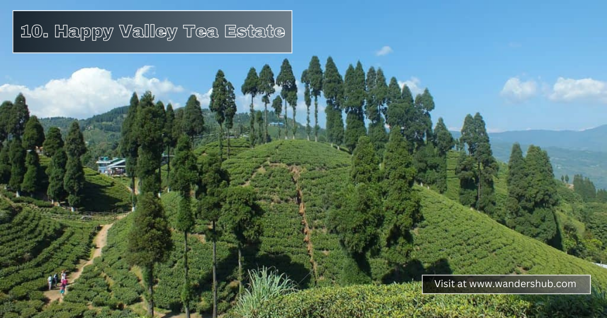 Top 15 Best Places to Visit in Darjeeling