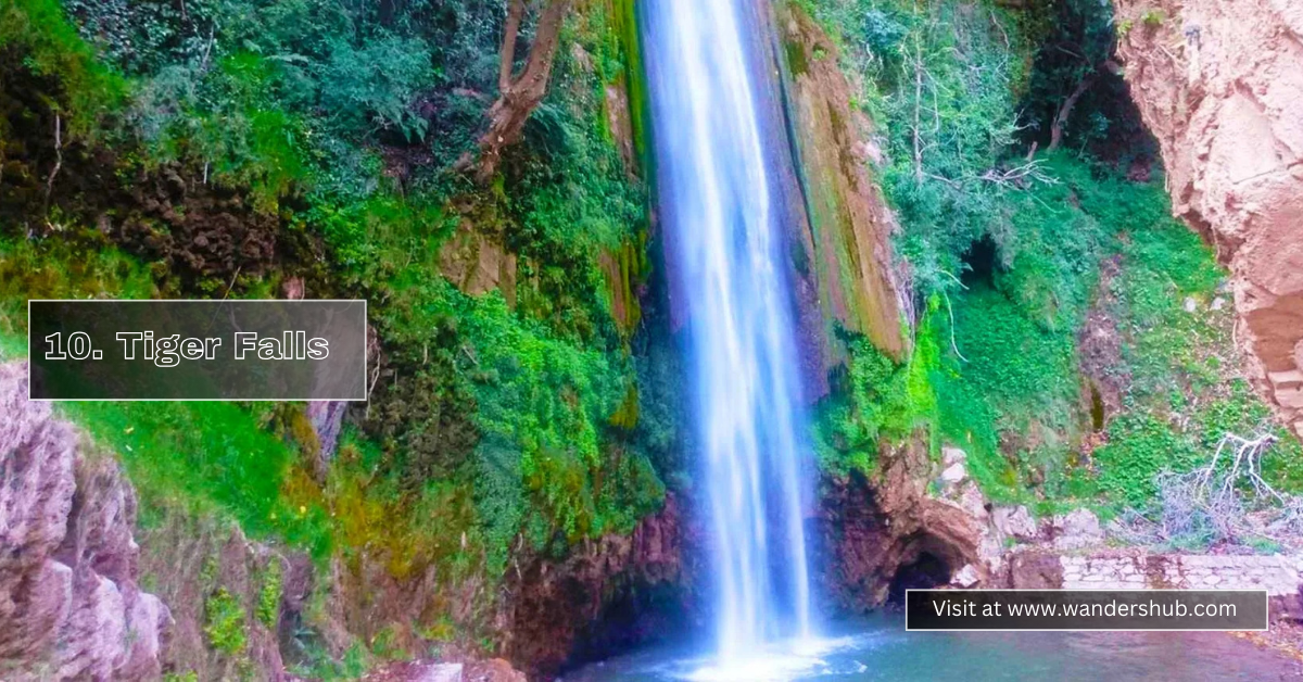 Top 10 Best Tourist Places in Dehradun to Visit in 2024