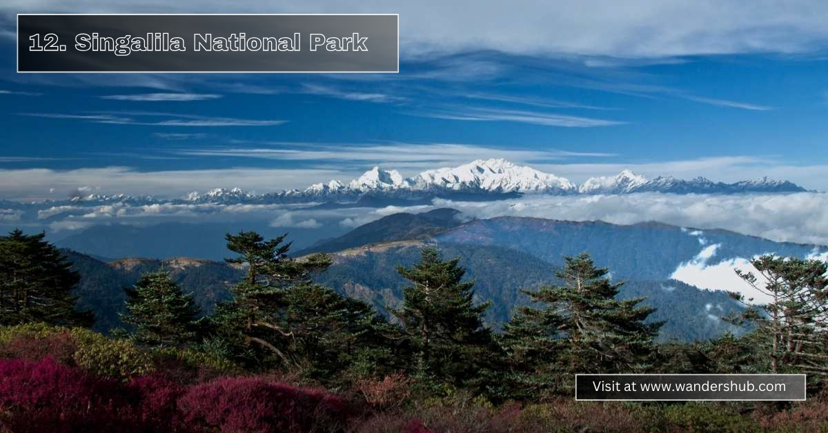 Top 15 Best Places to Visit in Darjeeling