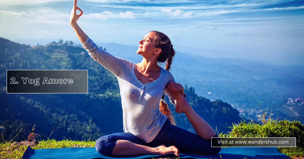 THE 5 Best Yoga Class In Chandigarh