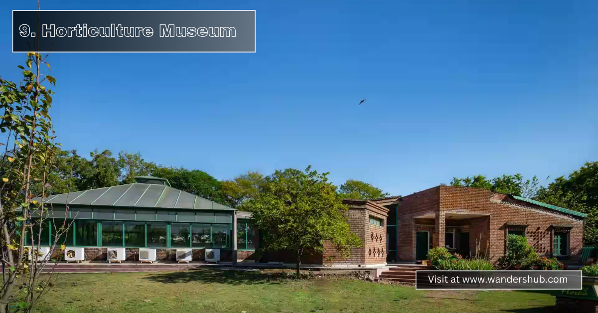 Top 10 Amazing Museum in Chandigarh Explore Culture and Heritage