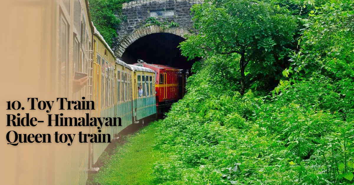 Toy Train Ride- Himalayan Queen toy train|10 Best Places to Visit in Kasauli in 2025