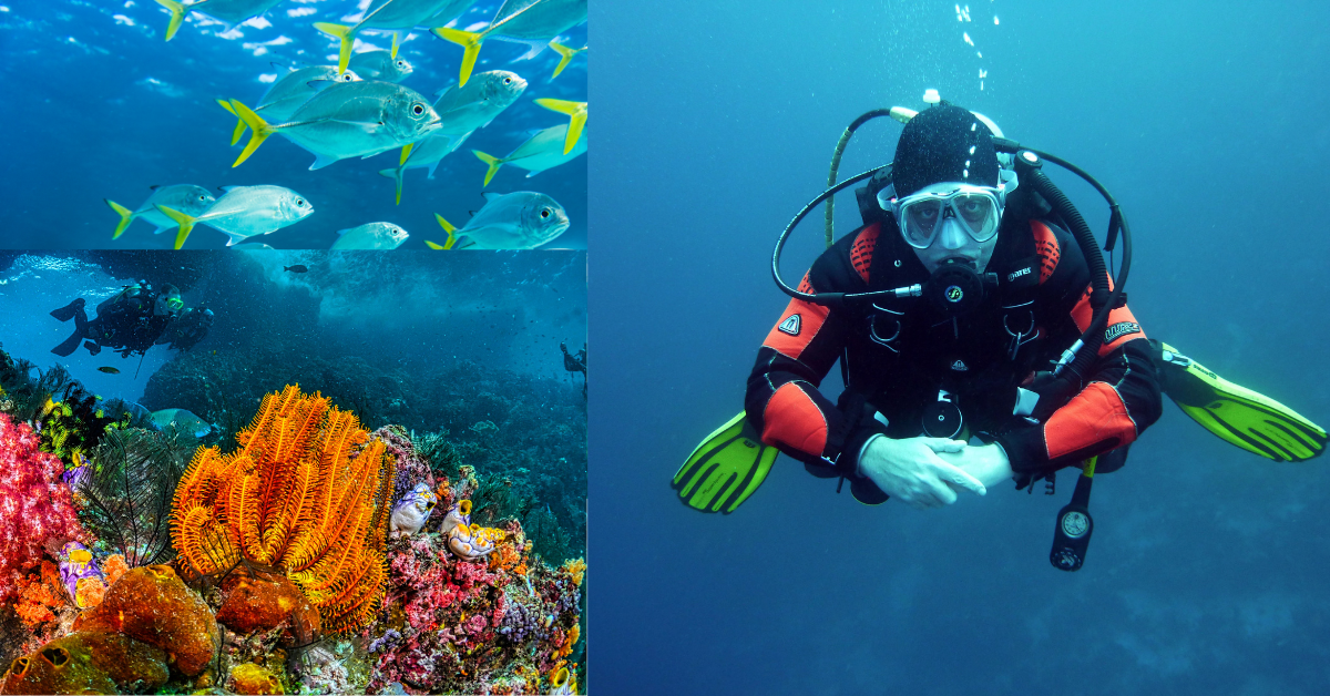 3. Havelock Islands| Top 10 Places for Scuba Diving in India