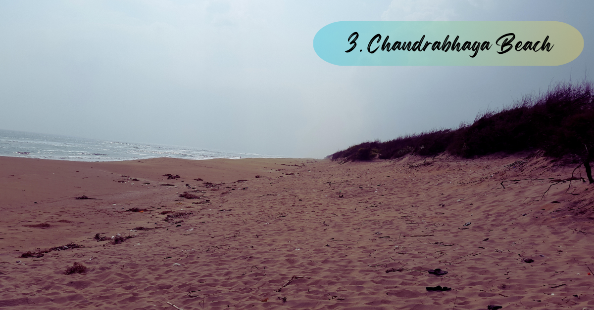 3. Chandrabhaga Beach | 10 Best Beaches In Odisha You Should Visit in 2025