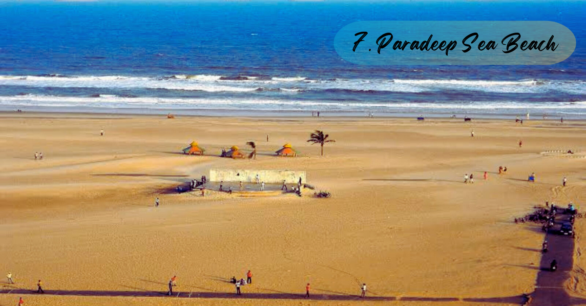 7. Paradeep Sea Beach | 10 Best Beaches In Odisha You Should Visit in 2025