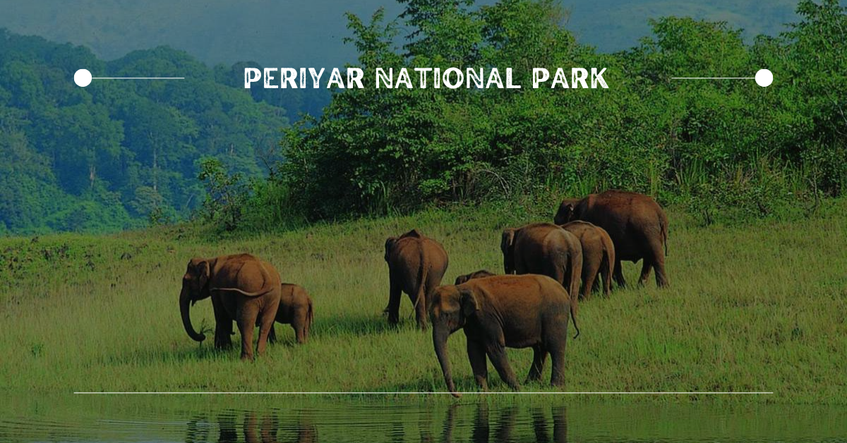 8. Periyar National Park | 10 Best Places for Wildlife Photography in India